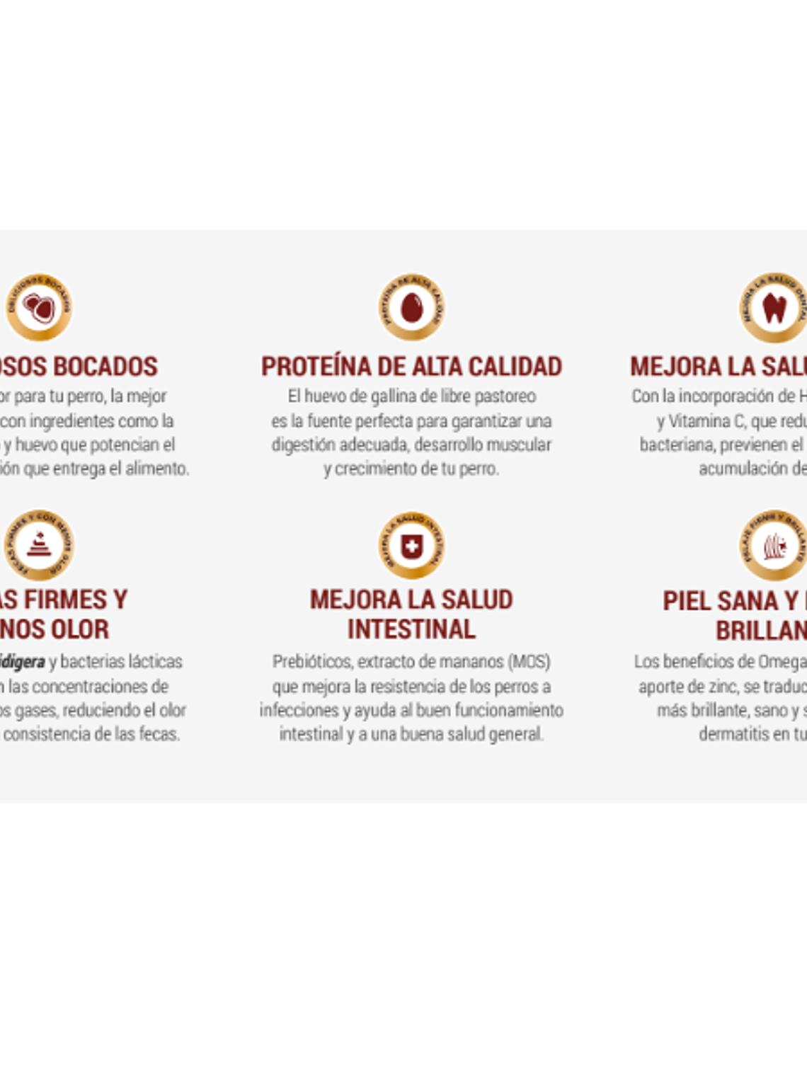 Can Adulto Carne y Cereales 18kg 3