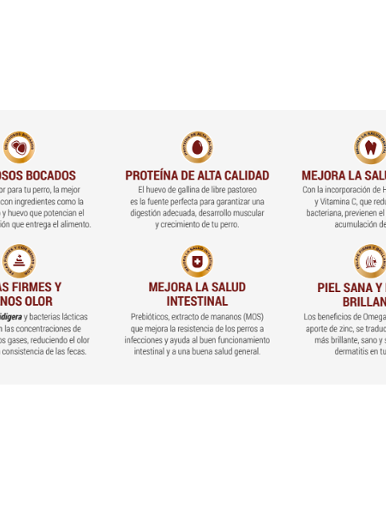 Can Adulto Carne y Cereales 18kg 3