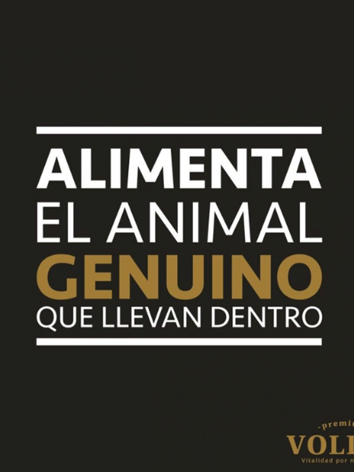 Voller Adulto Raza Mediana y Grande 20kg 3