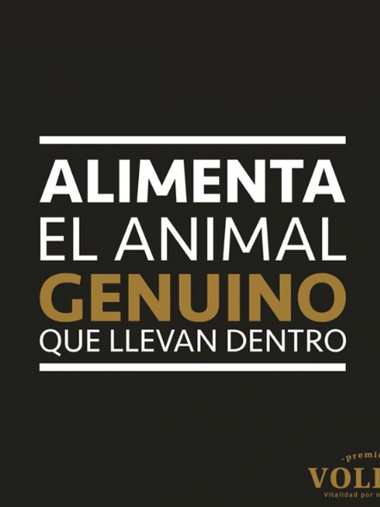 Voller Adulto Raza Mediana y Grande 20kg 3