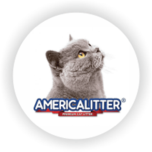 AmericaLitter