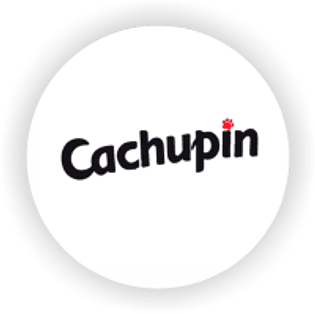 Cachupin