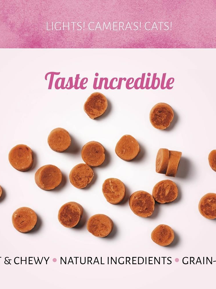 Snack Antos Gato Camarón al Vapor 50 Grs 2