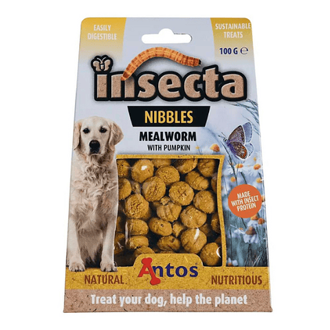 ANTOS INSECTA SACHET 100 GR  GUSANOS DE HARINA Y CALABAZA