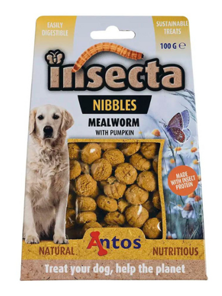 ANTOS INSECTA SACHET 100 GR  GUSANOS DE HARINA Y CALABAZA 1