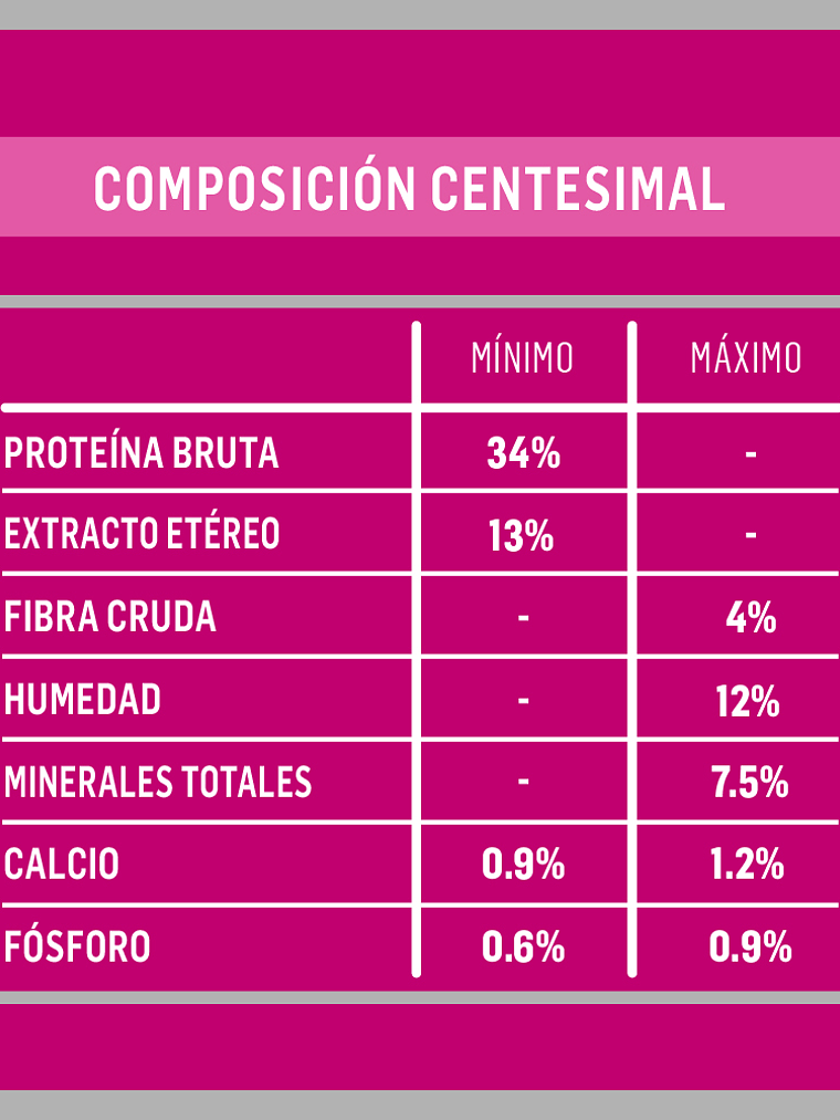 Kongo - Alimento Gatitos Carne y Leche 8 kg 3