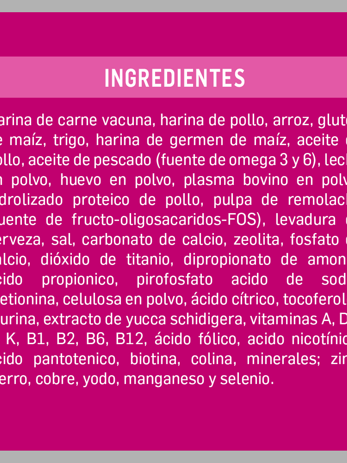 Kongo - Alimento Gatitos Carne y Leche 8 kg 2
