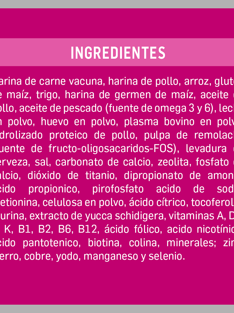 Kongo - Alimento Gatitos Carne y Leche 8 kg 2