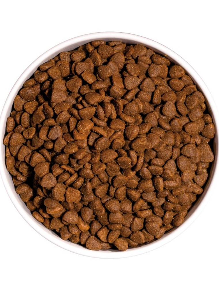 JUST GRAIN FREE ADULT CHICKEN CAT 3 KG 3