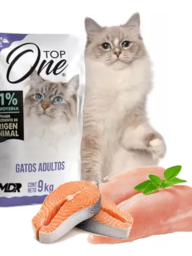 Top One Gato 9kg 2