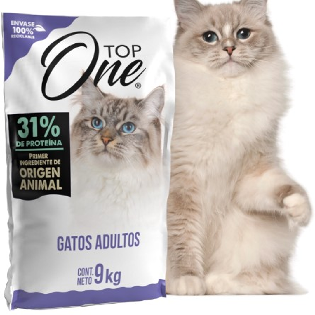 Top One Gato 9kg 1