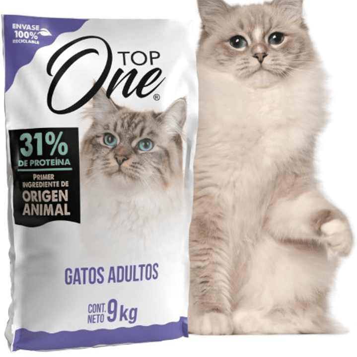 Top One Gato 9kg 1
