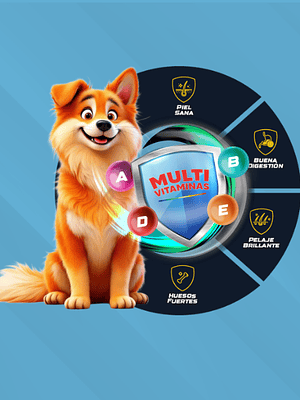 Alimento para Perro KN22 Adulto 25 KG