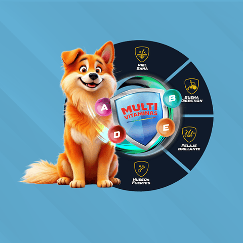 Alimento para Perro KN22 Adulto 25 KG