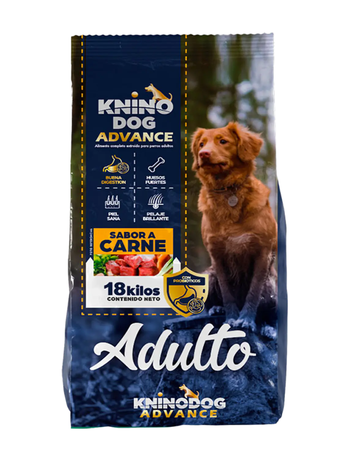 Knino adulto advanced 1