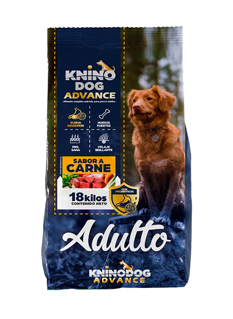 Knino adulto advanced