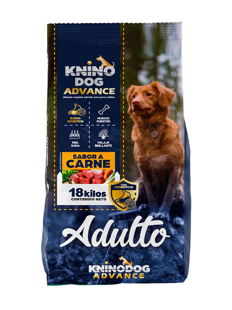 Knino adulto advanced 1