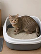 Arena MaxiCat Limon Aglutinante 20 kg - Miniatura 2