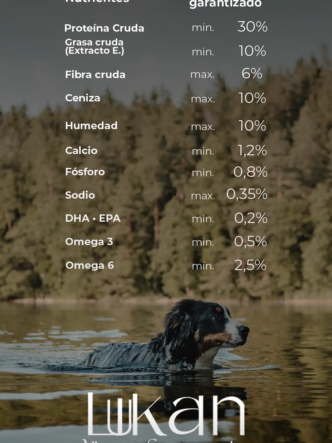 Lukan Adulto 20kg Alimento para Perros Adultos 3