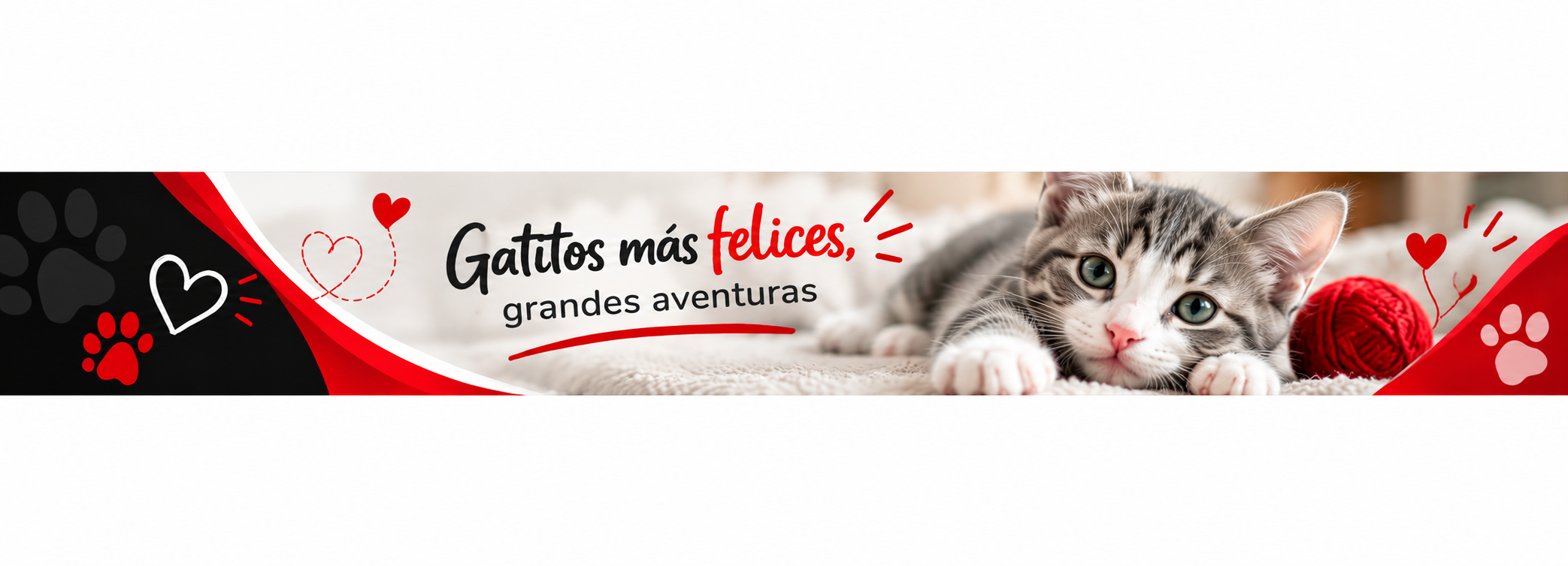 Gatitos ( 0 - 12 meses)