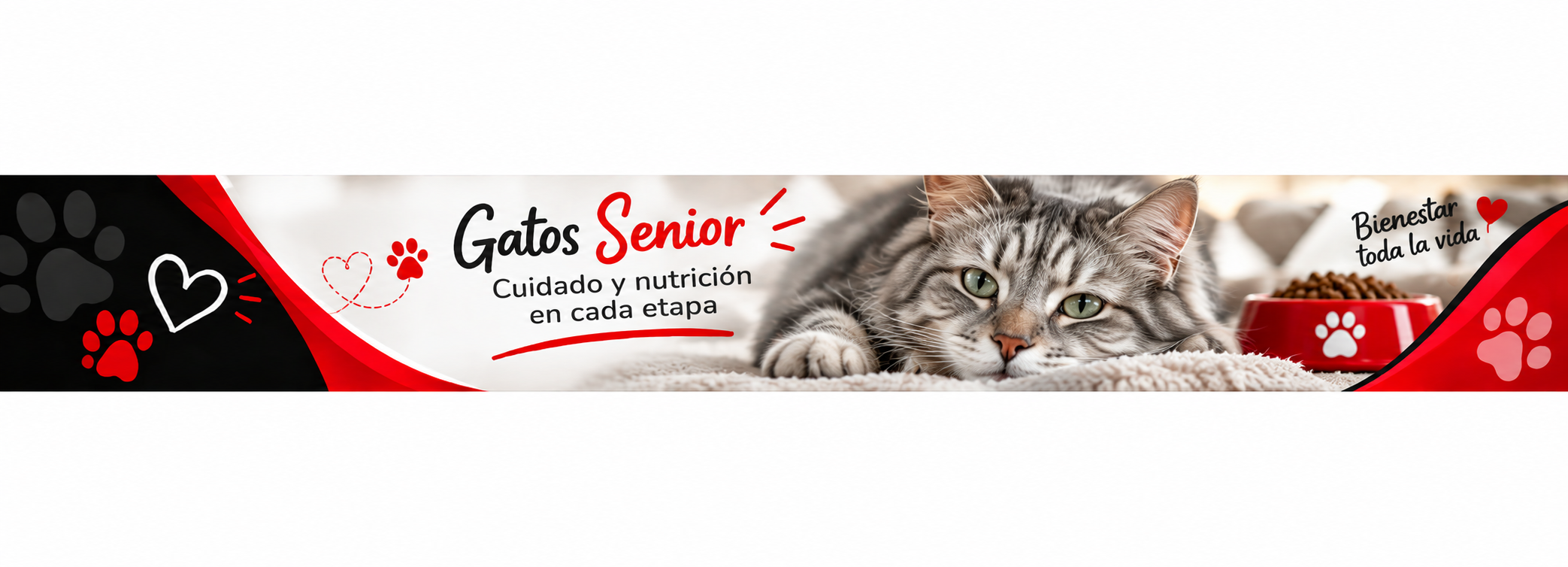 Senior ( + 7 años )