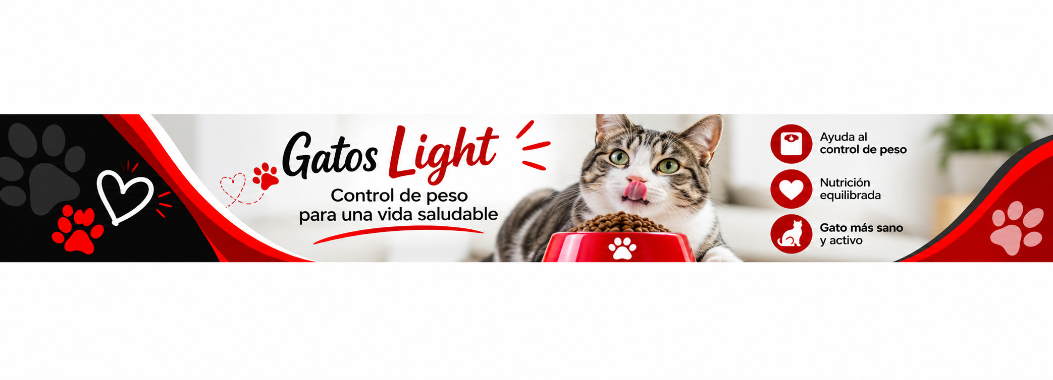 Light