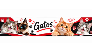 Gatos