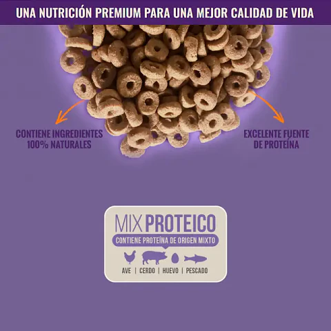 Nómade Gato Adulto 10 kg