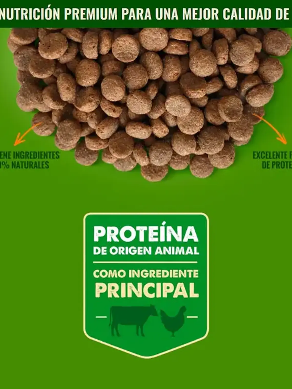 Nómade Perro Adulto Razas Pequeñas 10 kg 2