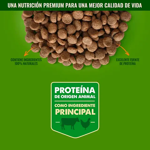 Nómade Perro Adulto Razas Pequeñas 10 kg