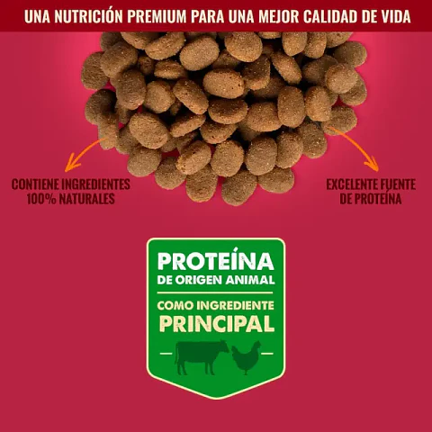 Nómade Perro Adulto Razas Medianas y Grandes 20 kg