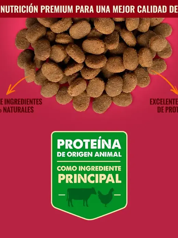 Nómade Perro Adulto Razas Medianas y Grandes 20 kg 2