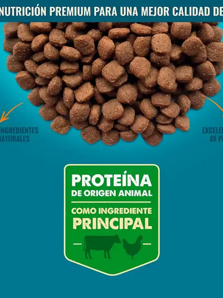 Nómade Perro Cachorro Todas las Razas 10 kg 2