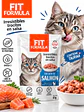 Fit Formula Alimento Húmedo Gato Salmón 85 g - Miniatura 2