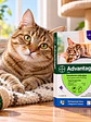 Advantage Pipeta Antipulgas Gatos 4 a 8 kg - Miniatura 2