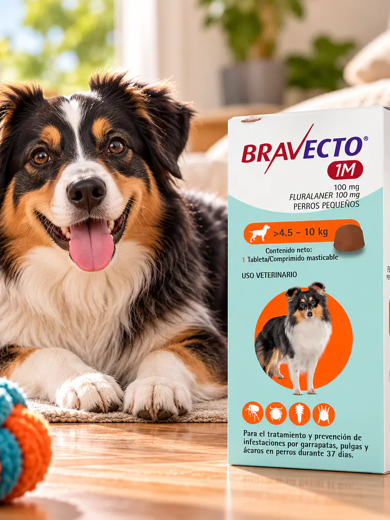 Bravecto 1M Perros 4,5-10 kg 100 mg 2