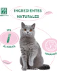 Agua de Colonia Fresa para gatos 125ml - Miniatura 4