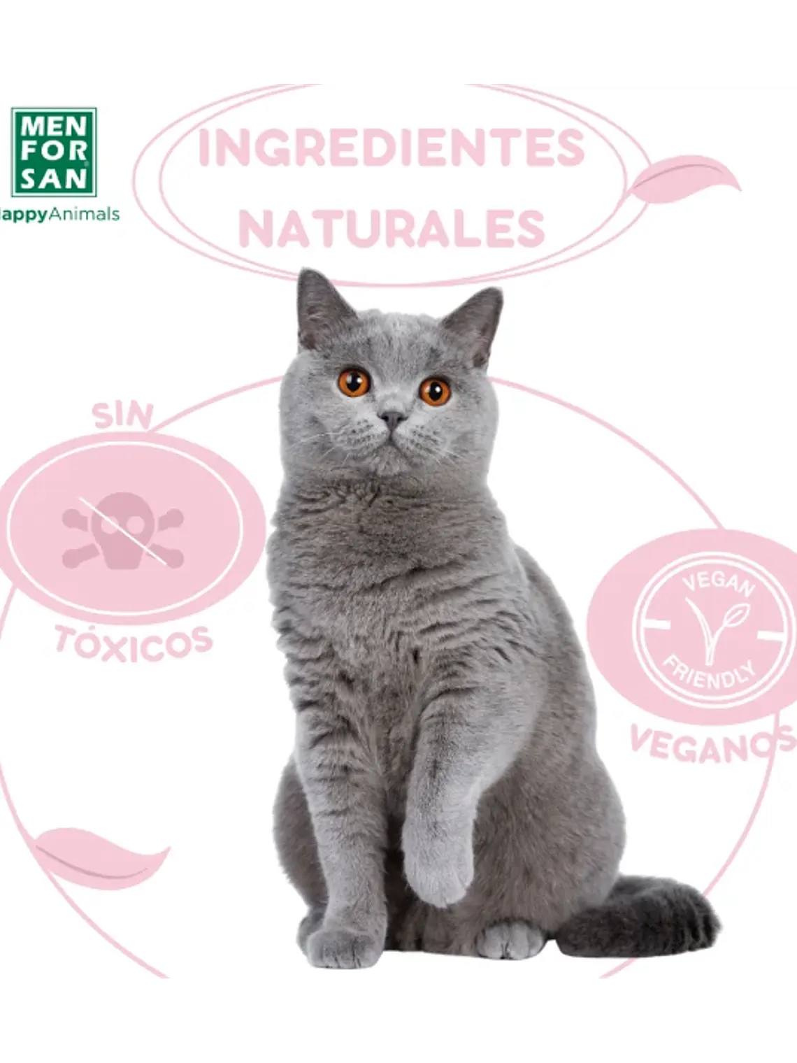 Champú muy suave para gatos 300ml 4
