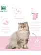 Champú muy suave para gatos 300ml - Miniatura 6