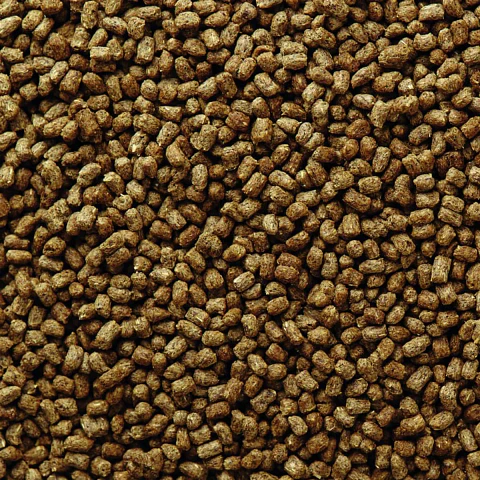 Mazuri Hedgehog Diet Alimento para Erizos de Tierra 500 g