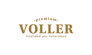 Logo de VOLLER