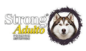 Logo de STRONG