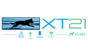 Logo de XT-21
