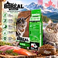 Boreal Original Turkey & Trout Gato Todas las Etapas 5,44 kg - Miniatura 3
