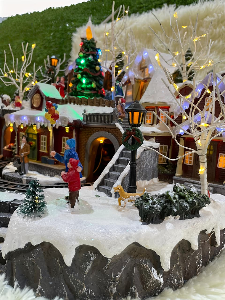 Ciudad Nevada con Tren en el Centro 1