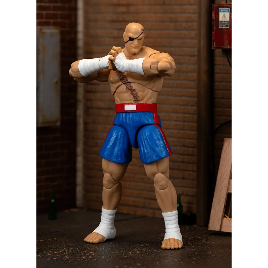 [Preventa 2 Abierta] Ultra Street Fighter II: The Final Challengers SAGAT Deluxe (Wave 4) 4