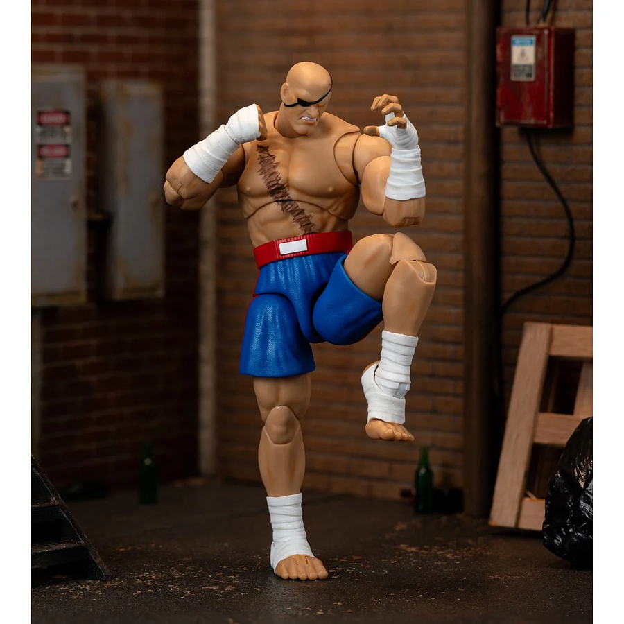 [Preventa 2 Abierta] Ultra Street Fighter II: The Final Challengers SAGAT Deluxe (Wave 4) 1