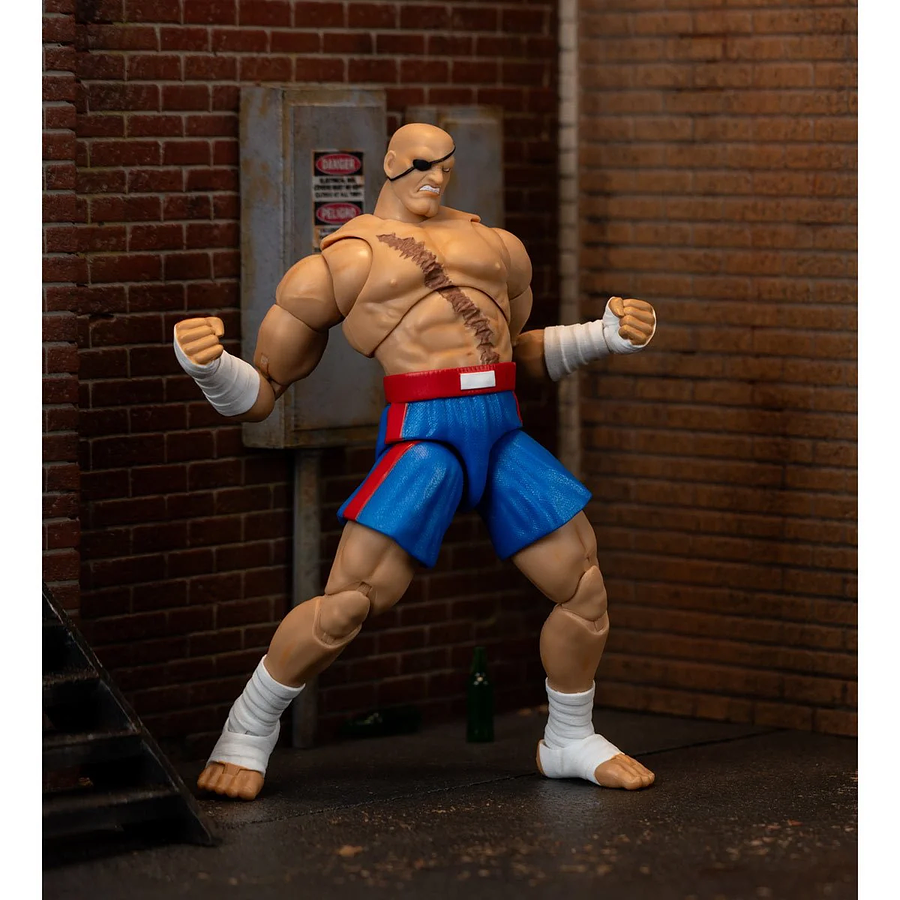 [Preventa 2 Abierta] Ultra Street Fighter II: The Final Challengers SAGAT Deluxe (Wave 4) 13