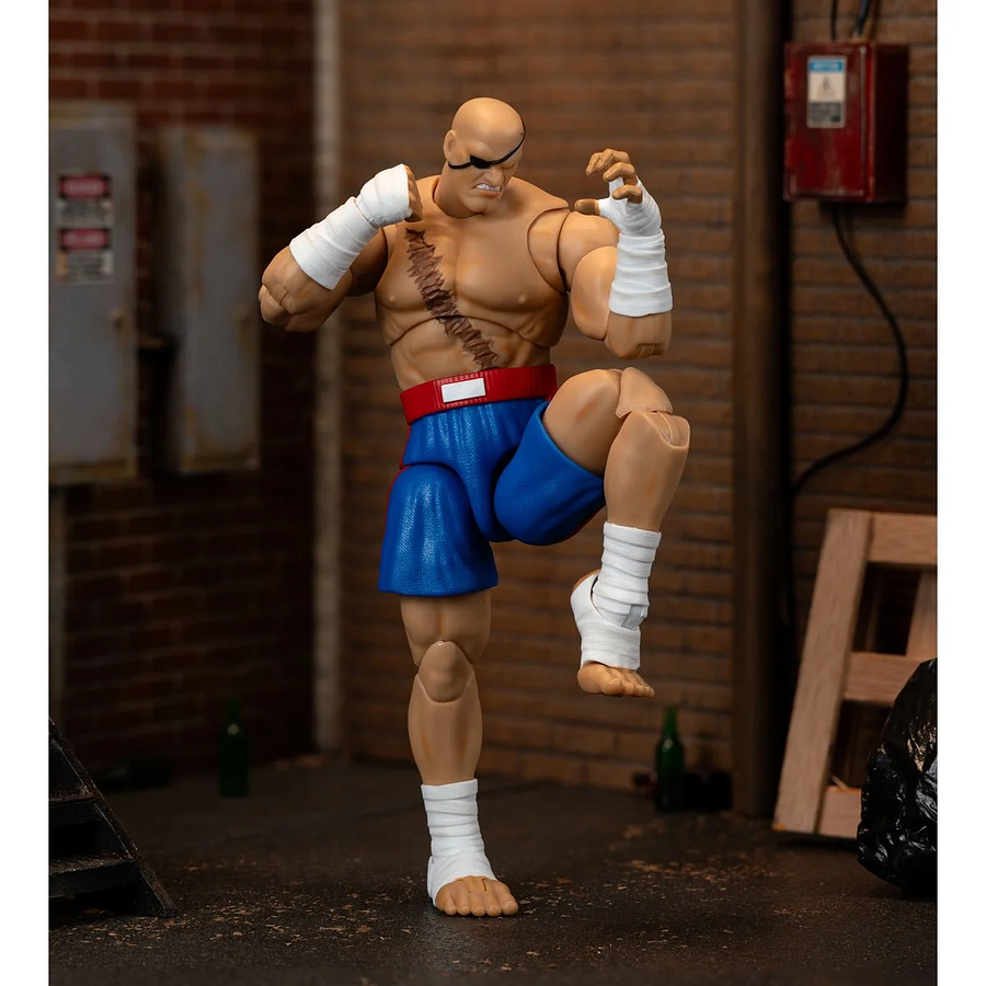 Ultra Street Fighter II: The Final Challengers SAGAT Deluxe (Wave 4) JD35171 1