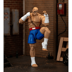 Ultra Street Fighter II: The Final Challengers SAGAT Deluxe (Wave 4) JD35171 1
